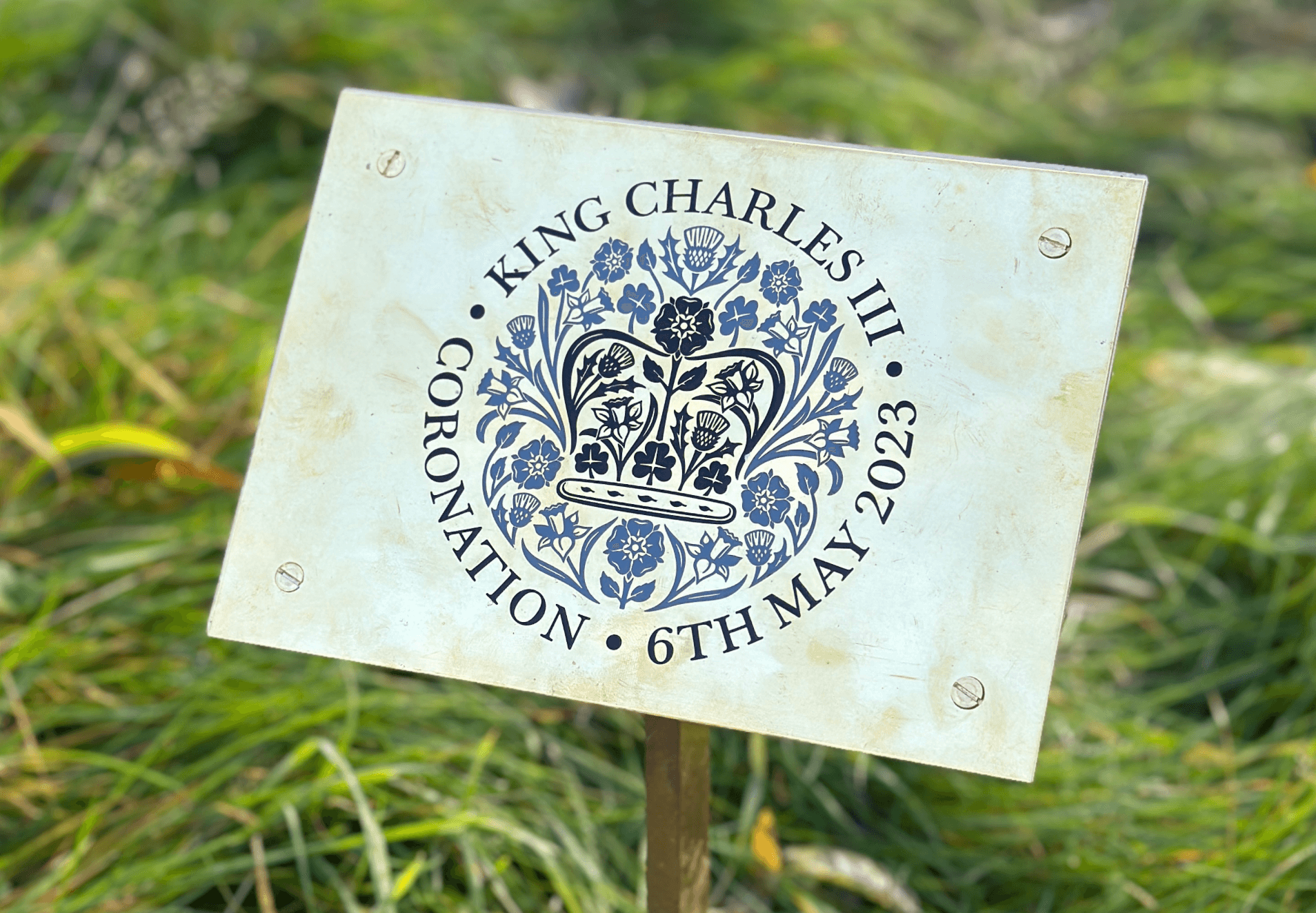 Crowning glory – Lord-Lieutenant’s King’s Coronation Tree finds a home at Yorkshire Sculpture Park