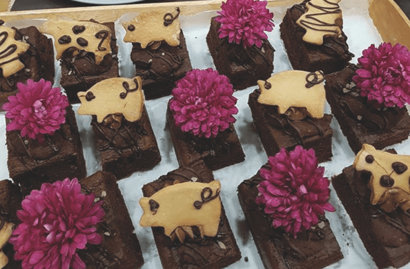 Vegan festival returns to Sheffield with a new venue
