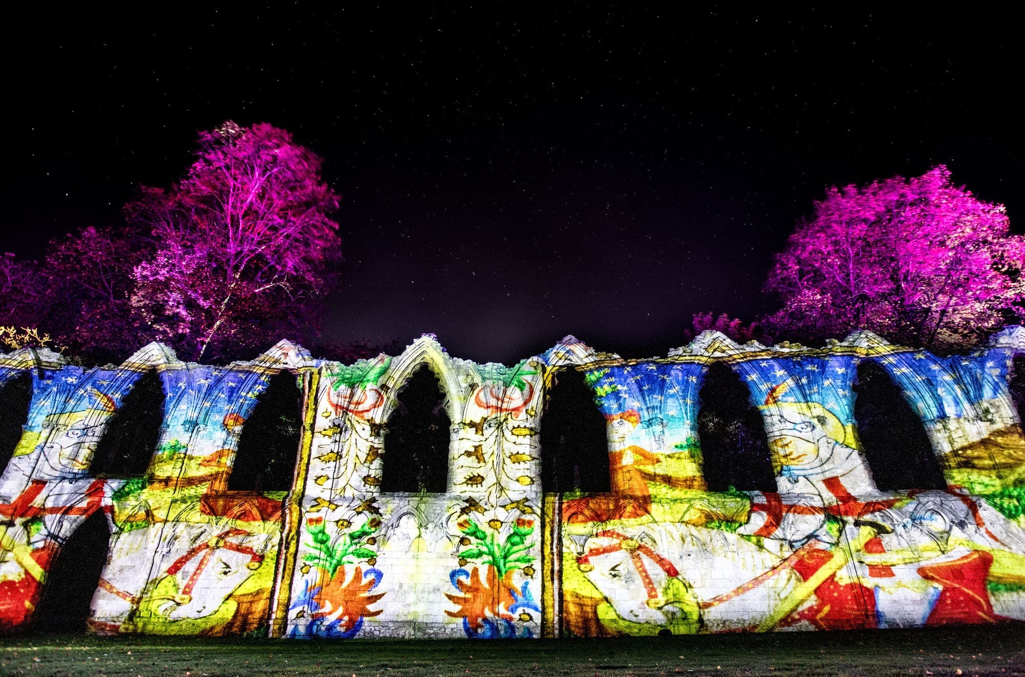 Echoes of Yorkshire: The Museum Illuminated
